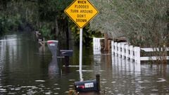 Government officials are warning Florida residents to stay out of the floodwaters from Hurricane Ian due to many dangers, including dangerous wildlife.