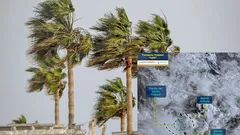 Clima en México: Celia se intensifica a tormenta tropical | Estados que afectará