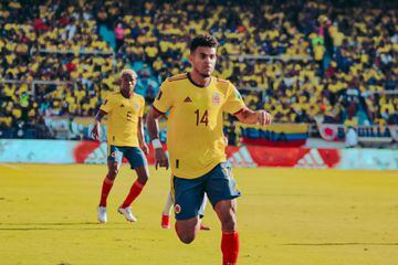 La Selección Colombia perdió 0-1 con la Selección Perú en Barranquilla por la decimoquinta jornada de las Eliminatorias Sudamericanas.