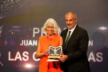 José Javier Fernández Fuerte, director de Marketing y Comunicación en la Real Federación Española de Balonmano recibe el premio de manos de Elvira González Serrano (Viuda Juan de dios Román).