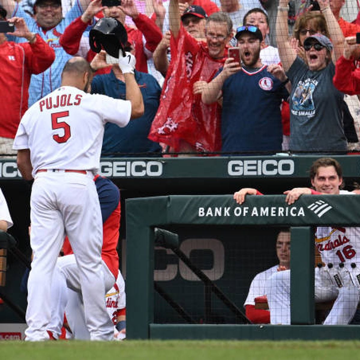 For Albert Pujols of St. Louis, 3 Home Runs for a Record Night - The New  York Times