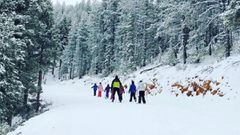 Monitor esquiando con un grupo de ni&ntilde;os por la nieve. 