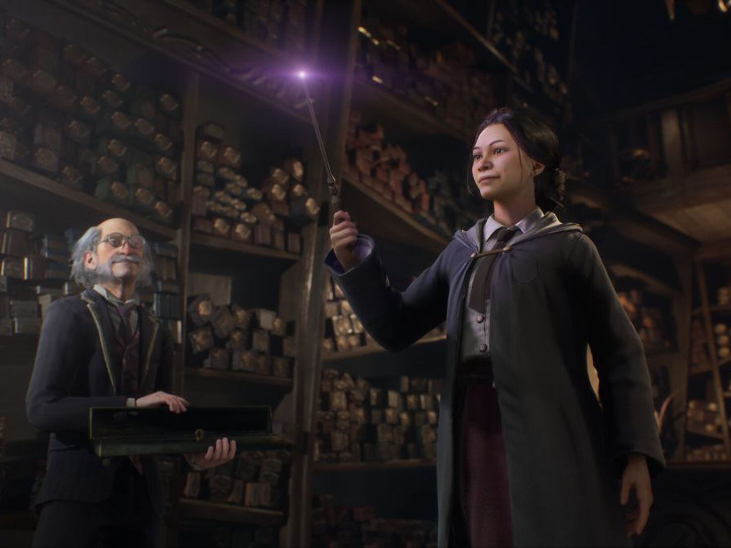 EA canceled a Harry Potter MMO by lack of belief in the longevity