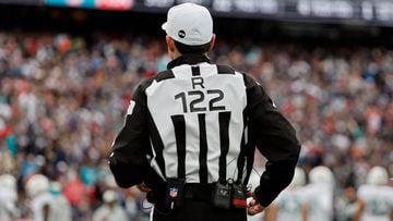The NFL is a good way to make a living, and not only for star players with million-dollar contracts. Referees, for example, take home a decent paycheck.