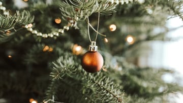 Tenemos dos de los mejores árboles de Navidad: frondosos y de aspecto natural (y baratos)