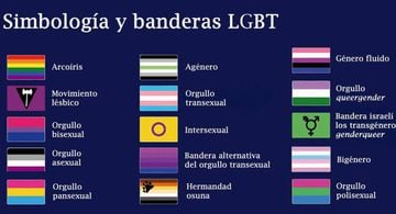 Este 28 de junio se celebra el Día Internacional del Orgullo, por lo que aquí te explicamos cuáles son las banderas LGBTIQA+ y su significado.