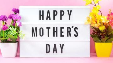 Este domingo, 8 de mayo, se celebra el  Día de la Madre en USA, por lo que te compartimos las 30 mejores frases y pensamientos para felicitar a mamá.