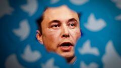 The value of Twitter has plummeted since Musk bought it last month and he warned empoyees that it could go bankrupt if the situation does not improve.