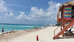Sargazo en Quintana Roo: Qué playas están libres de la alga