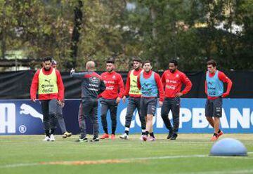 José Rojas, Johnny Herrera, Marco Medel, Juan Cornejo, Jean Beausejour y Paulo Garcés son los jugadores que iniciaron la preparación a la Copa América.