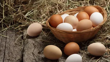 ¿Por qué el precio del huevo subió en México?: estas son las razones