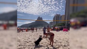 In Brazil, beach sports are almost as popular as soccer. So much so, that even some furry friends join in. Check out this pup’s serious skills.