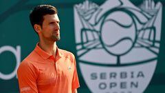 Former world number one Novak Djokovic is among some tennis greats who have voiced their opposition to Wimbledon’s ban on Russian and Belarusian athletes.