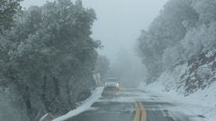 A partir de este jueves y durante todo el fin de semana, algunos estados de USA se verán cubiertos con una capa de nieve: Estados afectados y cuándo llegará.