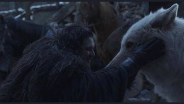 Luego de que Jon Snow se fue a lado de su reina Daenerys a pelear a King&#039;s Landing y dej&oacute; abandonado a su fiel amigo Ghost, por fin se reencontraron.