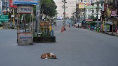 A stray dog rests in the middle of a deserted street after a new lockdown has been imposed until July 29 as a preventive measure against the spread of the COVID-19 coronavirus, in Siliguri on July 24, 2020. (Photo by DIPTENDU DUTTA / AFP)
