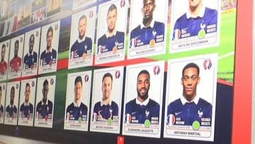 Panini French Euro 2016 pages