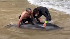 Pablo Carranza y David Aisa acariciando un delf&iacute;n varado en la playa de Matale&ntilde;as, Santander, la tarde del mi&eacute;rcoles 11 de mayo del 2023. 