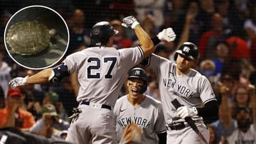 Los Yankees han sumado una serie de victorias consecutivas, aumentando sus probabilidades de llegar a la postemporada y todo gracias a &lsquo;Bronxie, la tortuga&rsquo;.