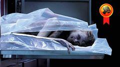 ‘Cadáver’, terror en la morgue a medianoche