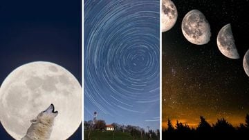 Calendario lunar enero 2024: fases lunares, Luna llena de Lobo y lluvia de estrellas