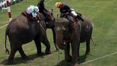 King’s Cup elephant polo tournament kicks off in Bangkok