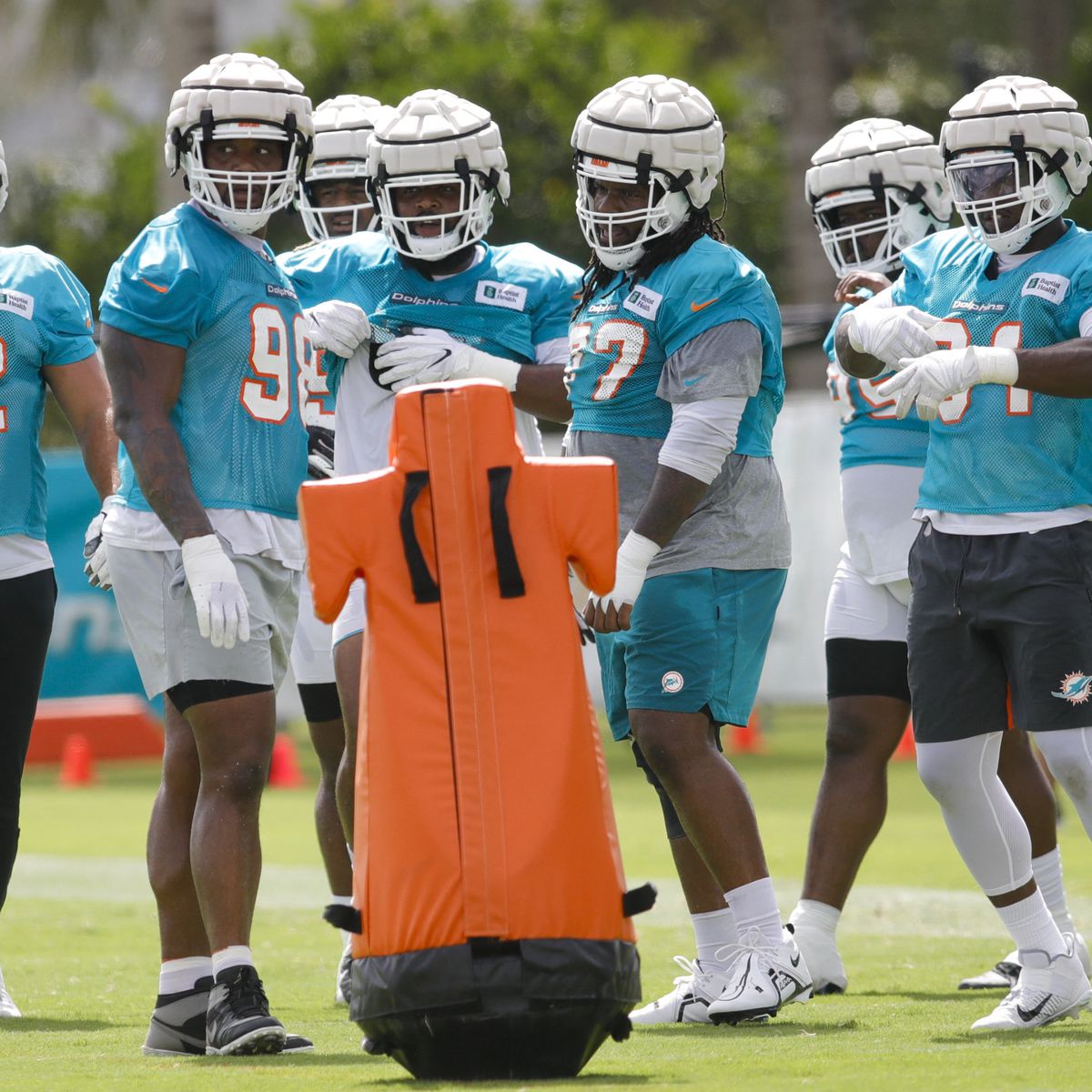 miami dolphins mini camp