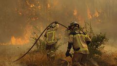 Plan de contingencia por incendios forestales: qué hacer, pasos a seguir y consejos importantes