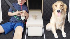 Funda de asiento de coche para perros de la marca Pecute para viajar