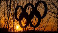 Russia invasion of Ukraine: IOC condemns "breach of Olympic Truce"