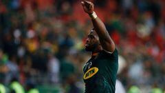 Springboks to meet Japan in Rugby World Cup warm-up