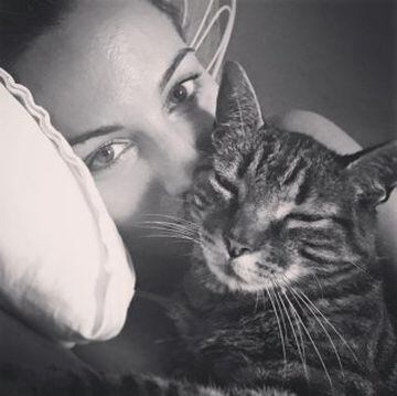 La pareja de David de Gea tampoco se ha olvidado de presentar en Instagram a otra de sus mascotas, este gato que responde al nombre de Paco.