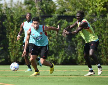 La Selección Colombia tuvo su segunda práctica en la sede deportiva del Inter de Miami. Los dirigidos por Néstor Lorenzo continúan la preparación para el juego ante Paraguay.