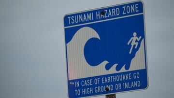 Tsunamis can be incredibly destructive as a wave of water surges onshore carrying all but the most solid objects inland, so what causes them?