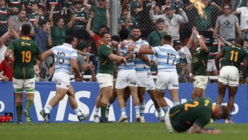 Los Pumas 20-36 Sudáfrica: resumen, puntos y resultado - Argentina