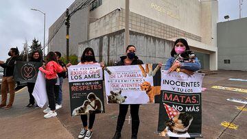 Juicio de Tango y Athos: Autoridades de Querétaro declaran culpable a hombre que envenenó a ‘Lomitos’