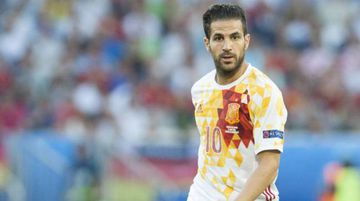 Fabregas has been a mainstay in the Spain set-up for over a decade