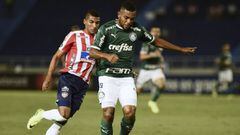 Borja quiere dejar Palmeiras y llegar al Junior de Barranquilla