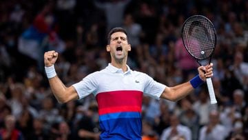 Djokovic clinches Paris Masters title