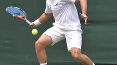 El tenista nacido en Kiev tiene 22 años y su juego pasa por su potente brazo derecho. Es la segunda vez que participa en Wimbledon.
