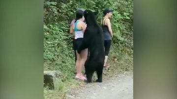 Captan video de un tenso momento de unos turistas con un oso negro y se hace viral