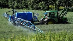¿Qué es el glifosato, el polémico herbicida aprobado en Europa? “Es volver al pasado”