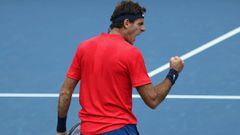 MASON, OH - AUGUST 15: Juan Martin Del Potro of Argentina celebrates match point after defeating Tomas Berdych of the Czech Republic during the Western and Southern Open on August 15, 2017 in Mason, Ohio.   Rob Carr/Getty Images/AFP == FOR NEWSPAPERS, IN