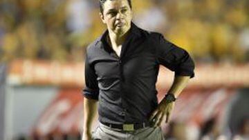 Marcelo Gallardo se convertir&iacute;a en el &uacute;nico en ganar la Copa Libertadores como t&eacute;cnico y jugador de River Plate.