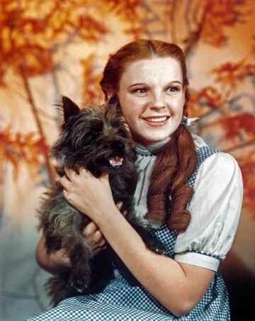 Judy Garland es una de las mayores leyendas de la historia del cine, su papel más recordado es el de la joven Dorothy en El Mago de Oz. Su cambio de nombre se debe a que de joven actua junto a sus hermanas en un vodevil titulado Las hermanas Gumm, al que un productor les cambió el nombre a Las Hermanas Garland. En esta época Frances aprovechó para cambiarse el nombre a Judy Garland.