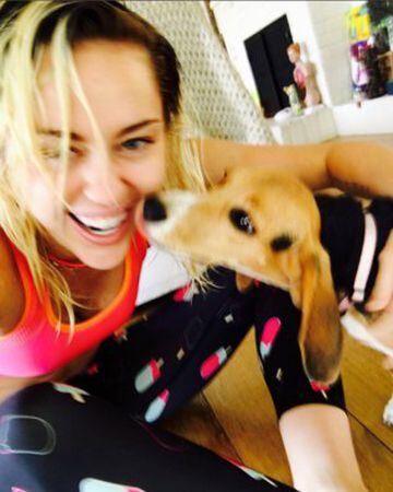 Miley Cirus junto a otro de sus perros...
