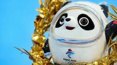 A figure of the Beijing 2022 Winter Olympic Games mascot Bing Dwen Dwen is seen during the venue ceremony for the men&#039;s speed skating 10000m event during the Beijing 2022 Winter Olympic Games at the National Speed Skating Oval in Beijing on February 