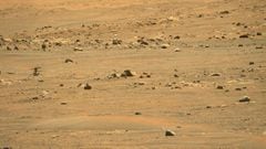 This NASA photo obtained May 10, 2021 shows NASA&#039;s Ingenuity Mars Helicopter  viewed after landing on May 7, 2021, by the Mastcam-Z imager, one of the instruments aboard the agency&#039;s Perseverance rover. - The helicopter ascended to a new height 