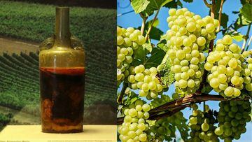 ¿Cómo es el vino más antiguo del mundo de 1.700 años? ¿Se puede beber?