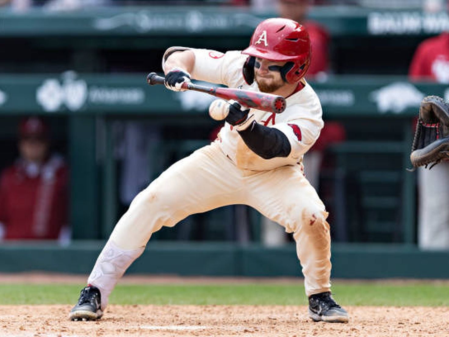 What to know about Arkansas baseball's Braydon Webb before the CWS